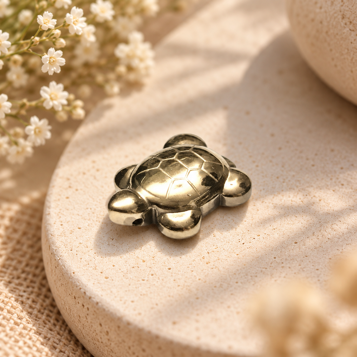 Pyrite Turtle